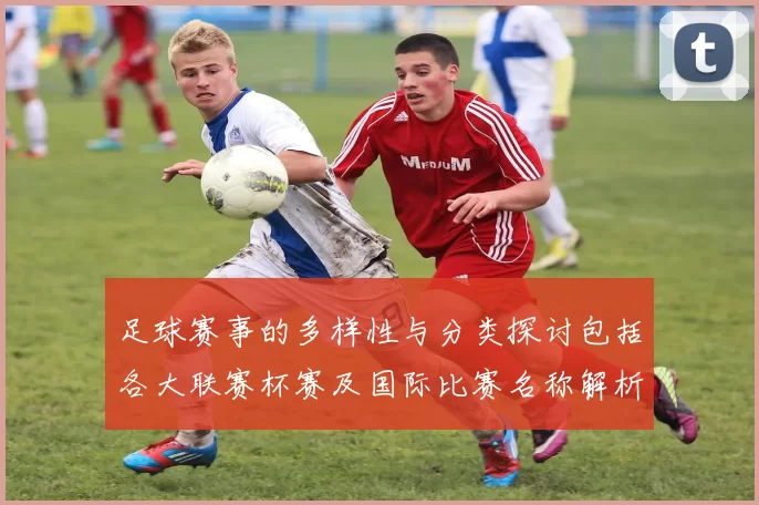 足球赛事的多样性与分类探讨包括各大联赛杯赛及国际比赛名称解析