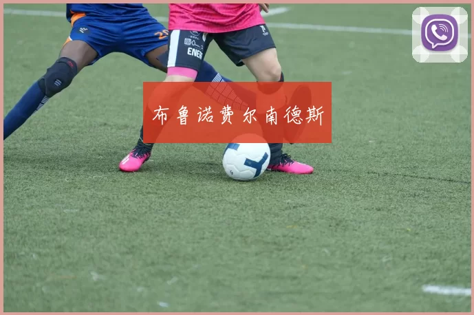 布鲁诺费尔南德斯