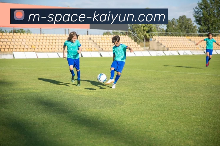 开云APP 高清赛事图